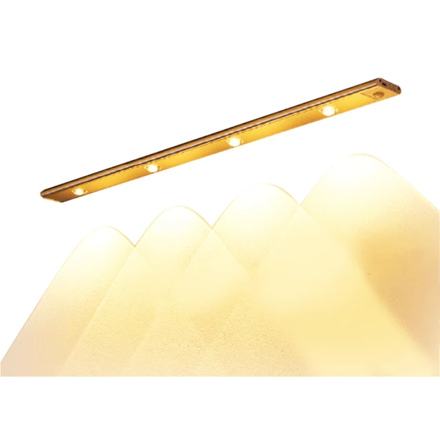 【GoldBright 金亮】磁吸感應燈 小夜燈 走廊燈 露營燈 人體感應燈(USB充電) 歷史價格詳細信息