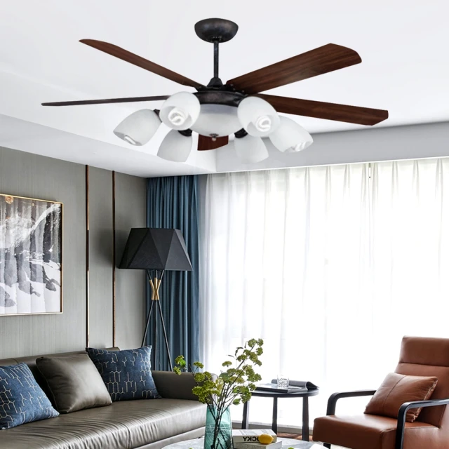 【光之饗宴】60吋 仿古色太魯閣-附遙控6+1燈吊扇(MIT 台灣製造) 歷史價格詳細信息