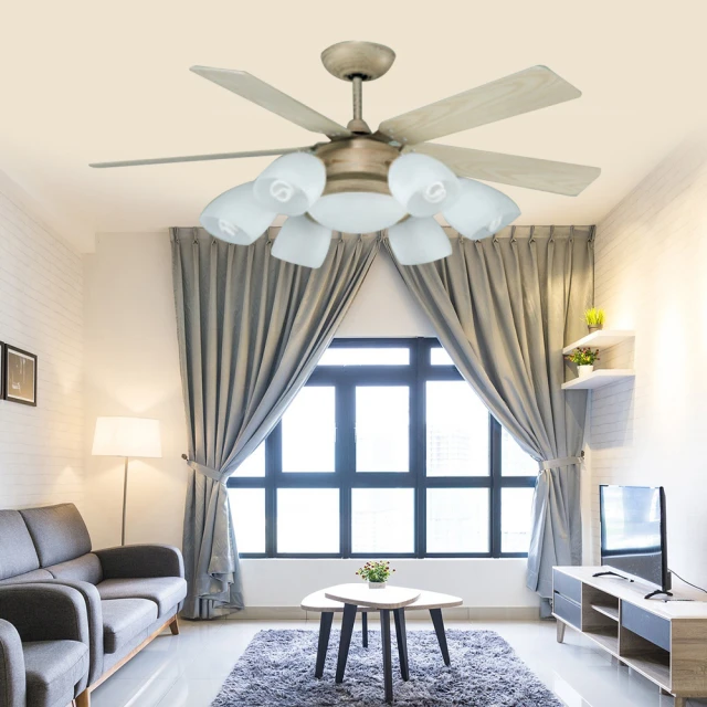 【光之饗宴】60吋 黃沙金布達佩斯-附遙控6+1燈吊扇(MIT 台灣製造) 歷史價格詳細信息