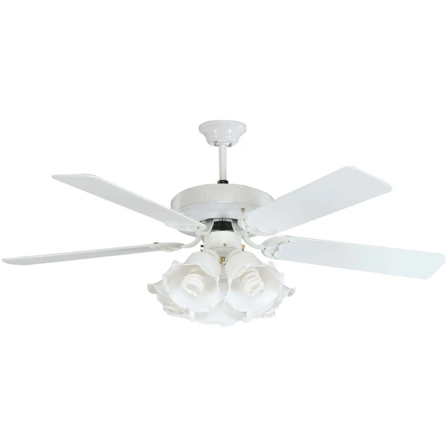 MIT PC-SQUARED PC-18 三米 (香蕉→香蕉) 歷史價格詳細信息