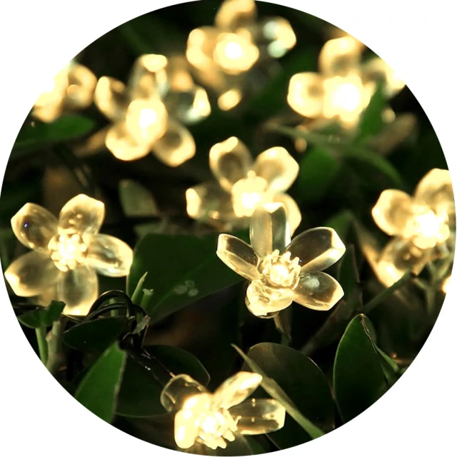 【樂邁家居】日本製 山茶花高腳碗禮盒 5入(質感餐具/釉下彩工藝/輕量瓷) 歷史價格詳細信息