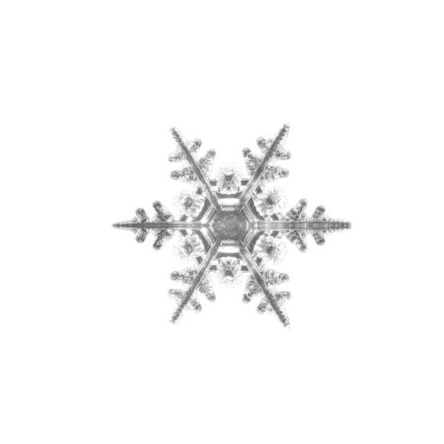 Fit Vitae羋恬家居 節慶居家佈置LED燈飾(暖白水晶球-4m) 歷史價格詳細信息