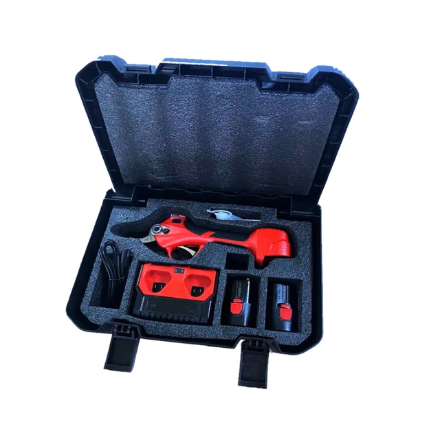 【首期剪紙標 -058】NGC 68分 2024年 生肖龍年16026 歷史價格詳細信息