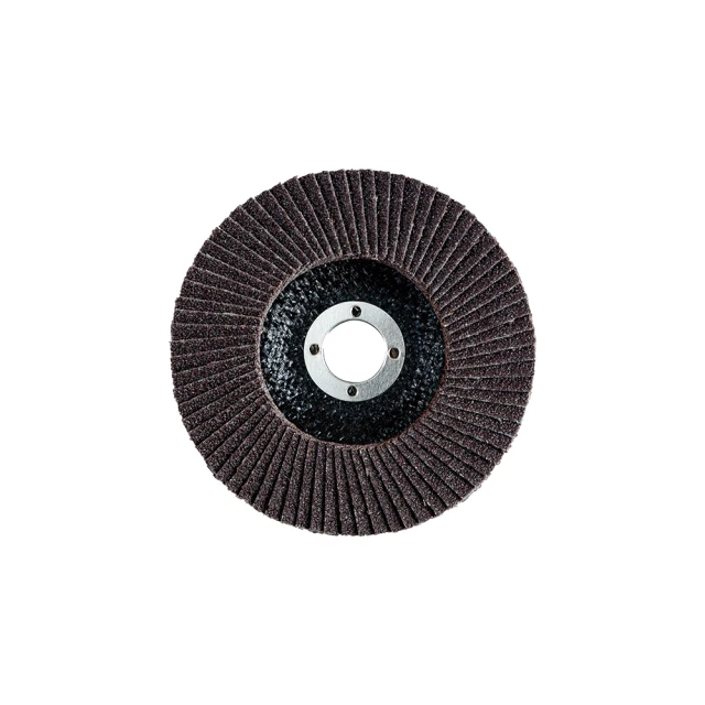 BOSCH 博世 砂布輪100mm/#80 (10入) 歷史價格詳細信息