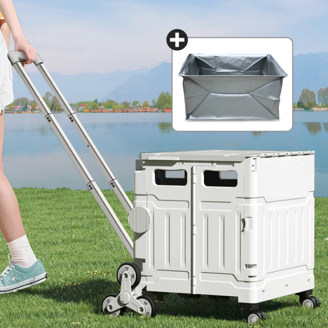 折疊收納購物輪袋台灣製採購菜車YKK不占空間防水特多尼龍布 歷史價格詳細信息