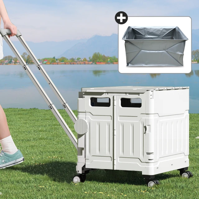 折疊收納購物輪袋台灣製採購菜車YKK不占空間防水特多尼龍布 歷史價格詳細信息