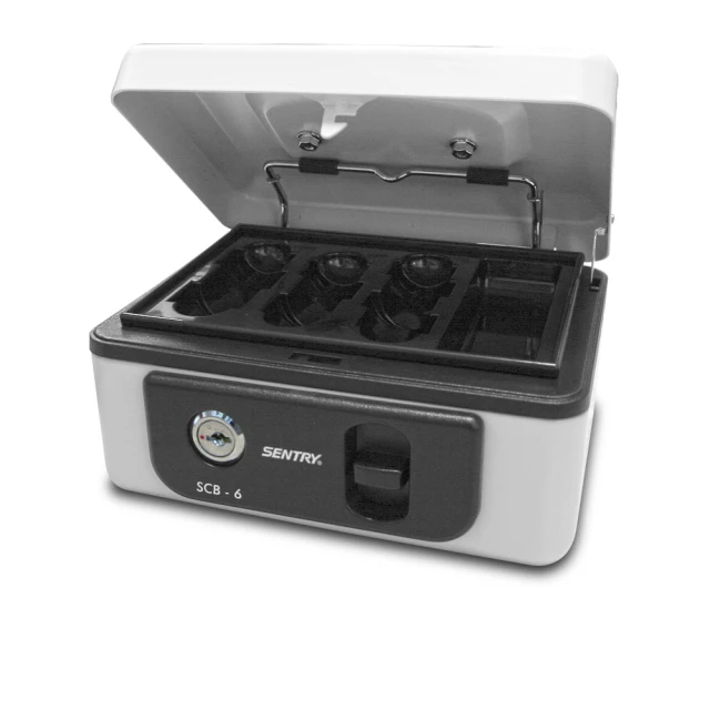 SENTRYSAFE手提安全金庫(SCB-8) 【凱騰】 歷史價格詳細信息