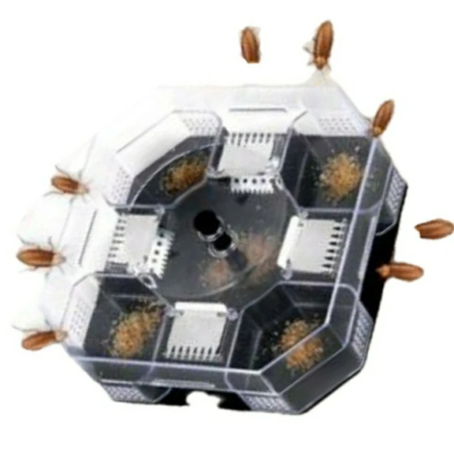 【Ainmax 艾買氏】可存手機號碼鑰匙圈(鑰匙扣 可隨意存取車號手機號碼) 歷史價格詳細信息