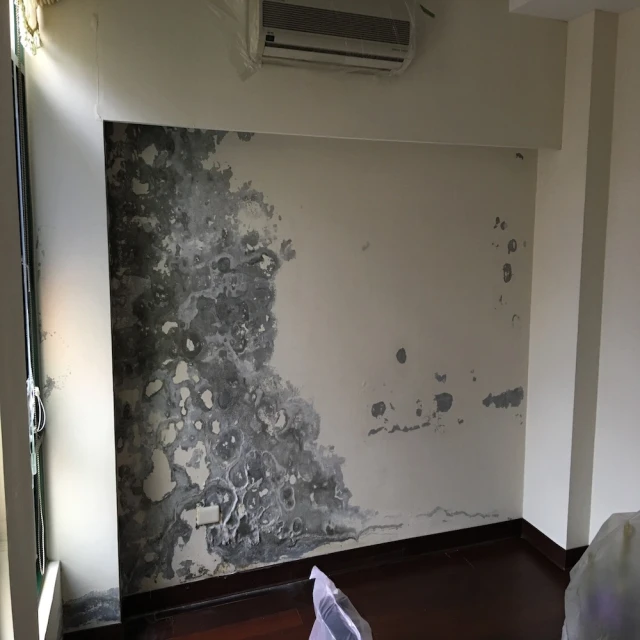 【陳師傅珪藻土-硅藻土施工】吸濕、除臭、淨化空氣(益康矽藻土-品質認證) 歷史價格詳細信息