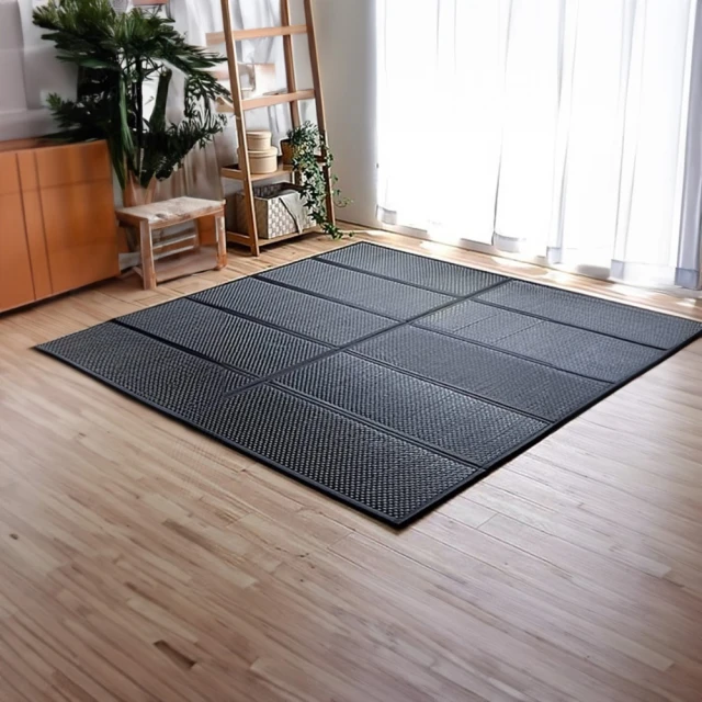 【IKEHIKO】撥水榻榻米Rise 88x176cm(草蓆  天然材質  撥水處理  耐用  淨化空氣) 歷史價格詳細信息
