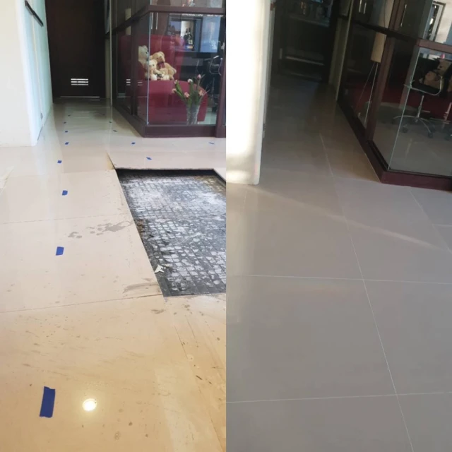 80公分柔光罩出租 歷史價格詳細信息