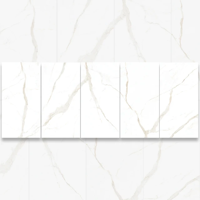 【愛德進口磁磚】洛可可 義大利大板磚 120x278cm(薄板/磁磚/地磚/壁磚/檯面/電視牆/中島/施工/每片) 歷史價格詳細信息