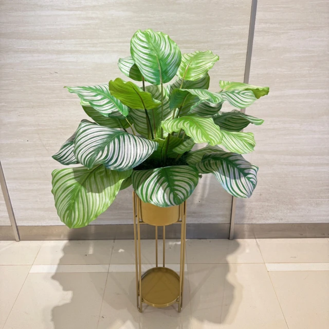 限雙北市區【易力購】上允 / 上品晴雨棚《窗型∕分離式》台灣銷售第一，最大供應商，限雙北市區 歷史價格詳細信息