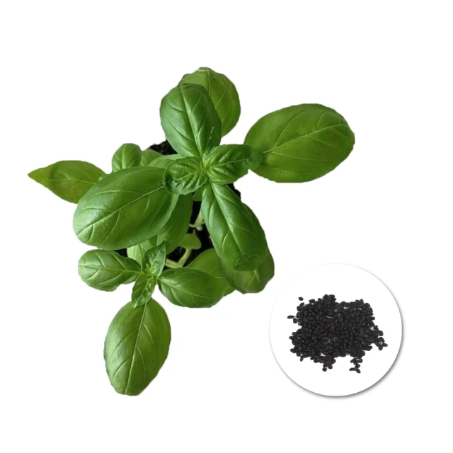 香妃祕密城堡❤️COACH Dreams 逐夢女性淡香精90ml（花果清新調） 歷史價格詳細信息