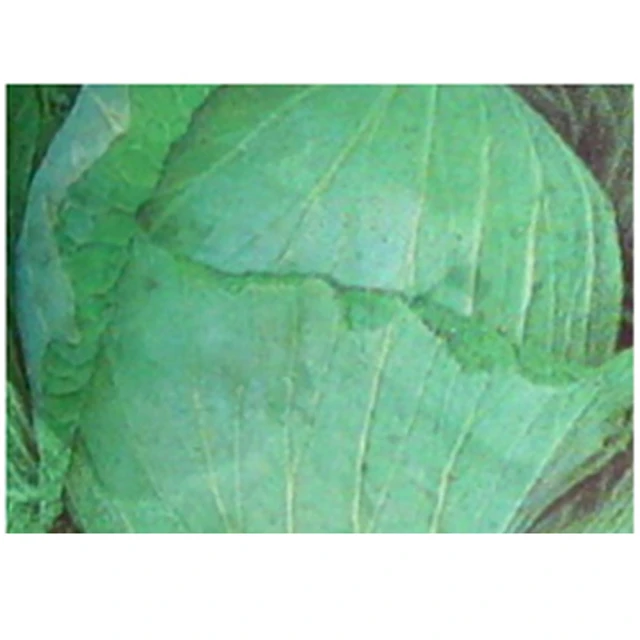 【蔬菜工坊】高氮30即溶複合肥1公斤(30-5-12) 歷史價格詳細信息