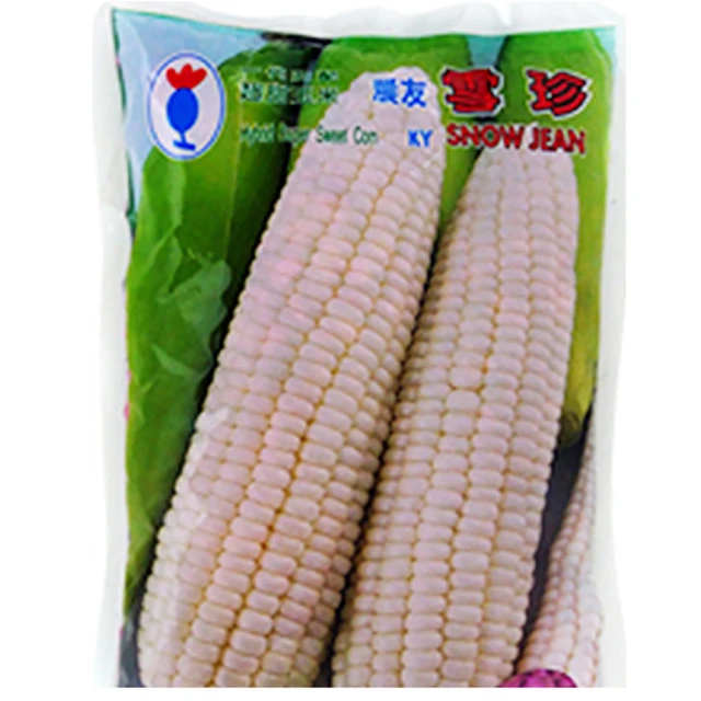 【蔬菜工坊】超省力4公升側背式氣壓白鐵噴霧桶(最新專利設計款) 歷史價格詳細信息