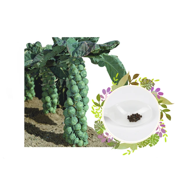 【蔬菜工坊】1吋迷你盆 30個/組(白、粉藍、粉紅、粉綠、粉紫、粉黃，共6色可選)多肉盆，彩盆 歷史價格詳細信息