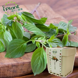 【iPlant】積木小農場-冰花菜(內含種子培養土肥料花盆) 歷史價格詳細信息