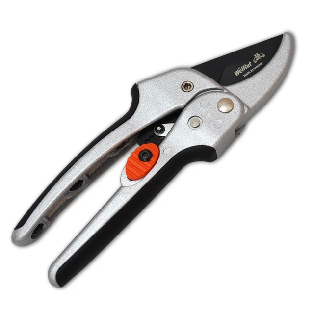 【首期剪紙標】NGC 69分 2024年 生肖龍年 普通紀念12481 歷史價格詳細信息