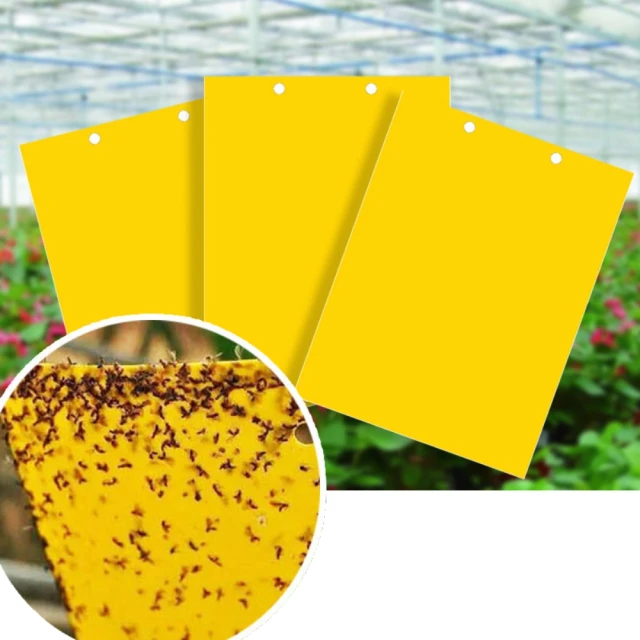 雙面陷阱 推理小說 / 顏湘如 歷史價格詳細信息