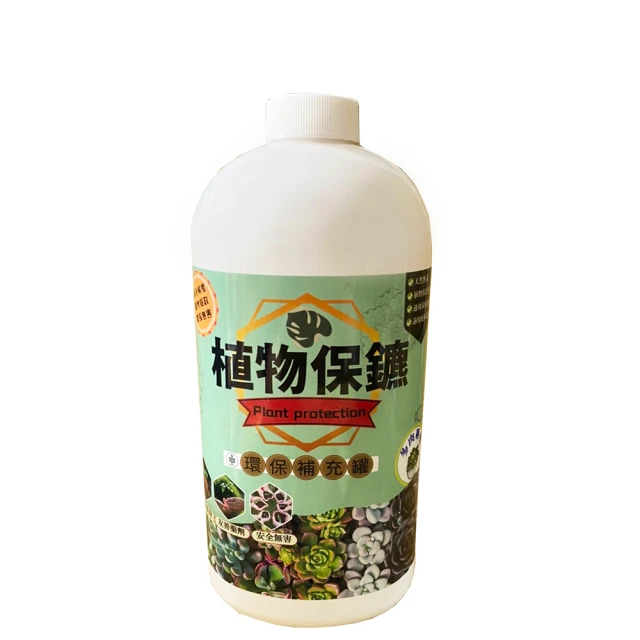 小美紀 多入裝-透氣盆 (3寸 4寸 5寸 6寸-四種尺寸可選) 歷史價格詳細信息