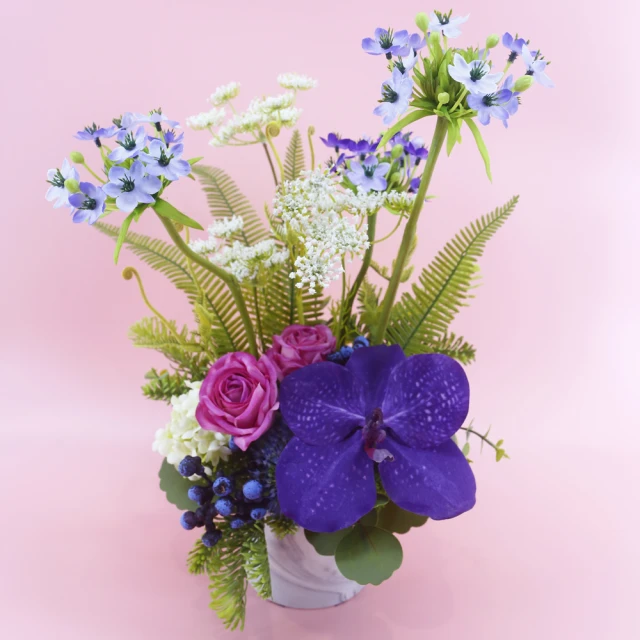 伯利恆之旅DVD 費歐娜帕洛莫 麥洛曼海姆 Journey To Bethlehem 台灣正版全新 歷史價格詳細信息