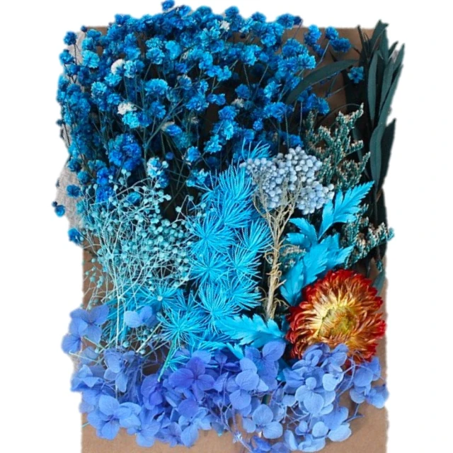 【A-ONE 匯旺】永生花素材永生滿天星 大滿天星 婚禮佈置 手作素材 攝影道具 新娘捧花 手作乾燥花(A08) 歷史價格詳細信息