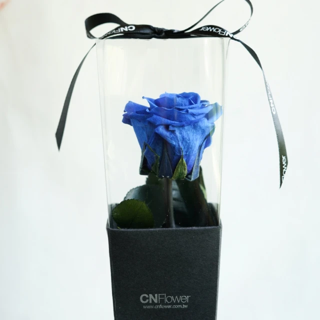 【CNFlower 西恩】玫瑰森林 恆星花禮-含聖誕燈串(送禮推薦/永生花/浪漫/驚喜) 歷史價格詳細信息