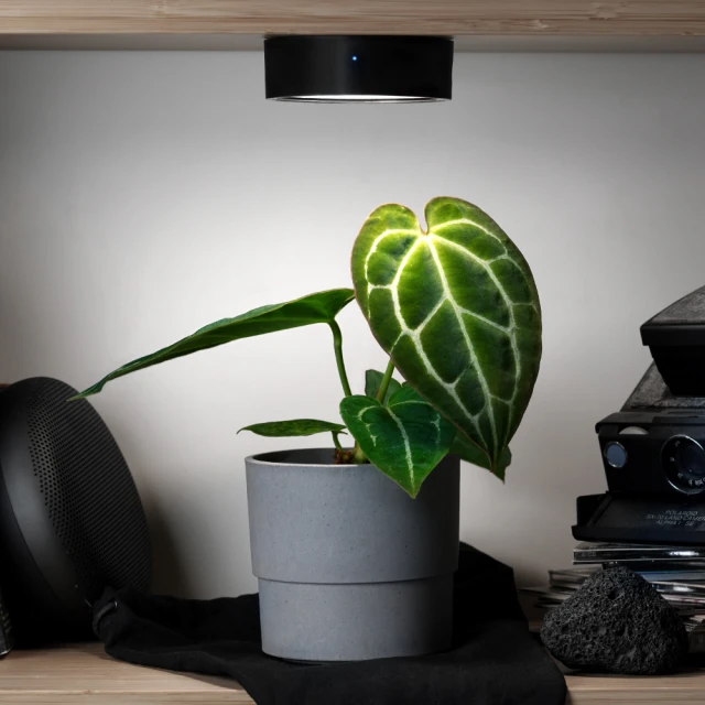 【ONF 光之間】ONF Flat Nano+ 智慧水陸植物培育燈具(App控制) 歷史價格詳細信息