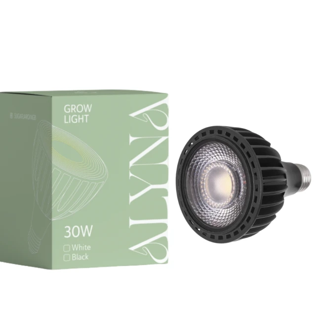 【微糖姑娘】微糖姑娘-益生菌紅色山茶花嫩白身體乳(250ml*1入) 歷史價格詳細信息