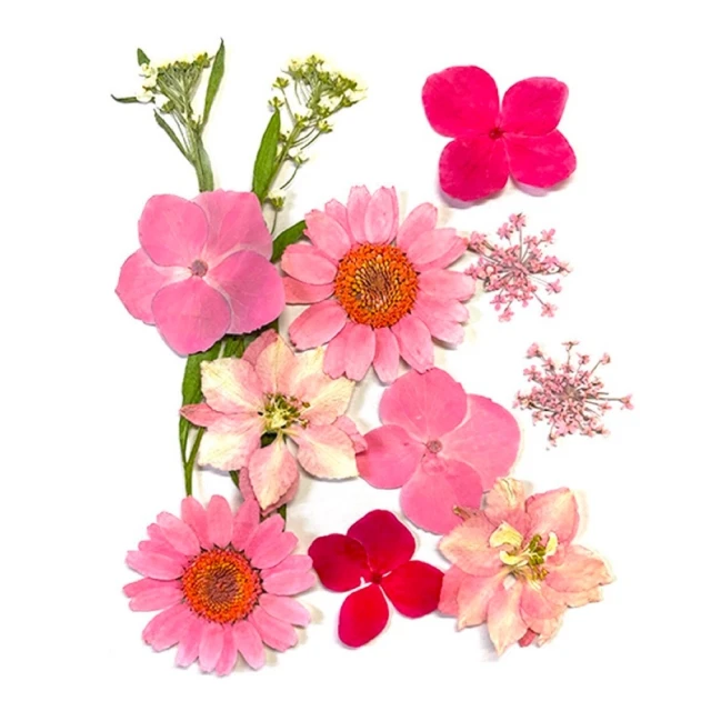 【A-ONE】DIY飾布貼 比利時 安特衛普 刺繡徽章 飾貼花 刺繡布貼 補丁布貼 衣服燙布貼 Patch刺繡士氣章 歷史價格詳細信息