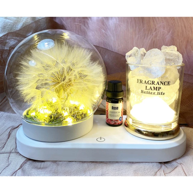 【OSTARA FLORIST 奧斯塔拉花藝】愛情樹永生花罩盅(永生花材、不凋玫瑰、永生配材) 歷史價格詳細信息