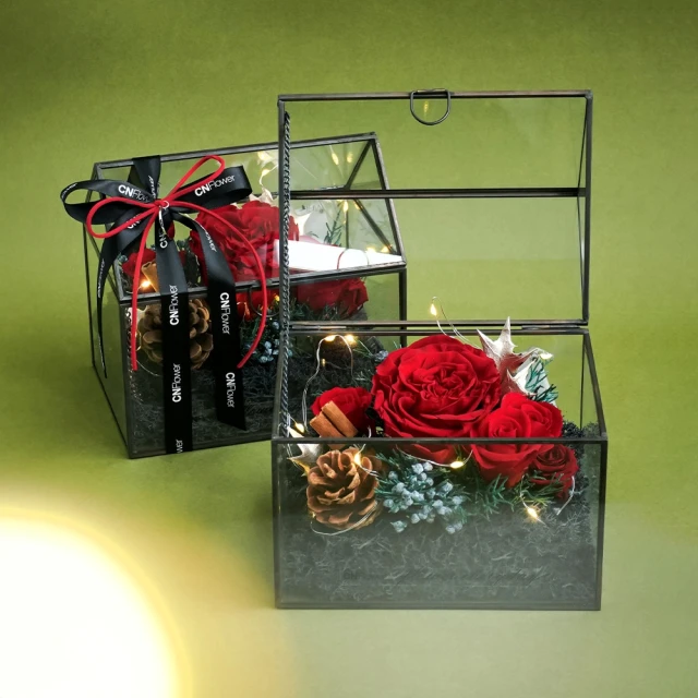 【CNFlower 西恩】森林家宴 多肉植栽(送禮/植栽/植物/觀葉植物/多肉) 歷史價格詳細信息