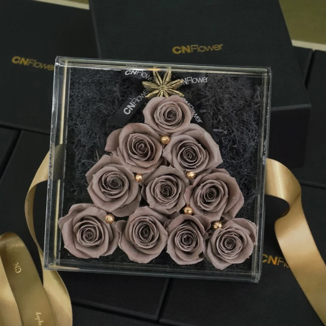 Christmas Tree【禮筑外文書店】(硬頁書)[5折] 歷史價格詳細信息
