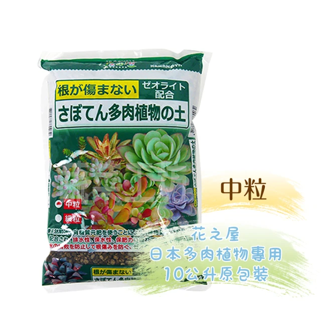 【蔬菜工坊】花果葉美新包裝500克 (日本進口花旺果甜) 歷史價格詳細信息