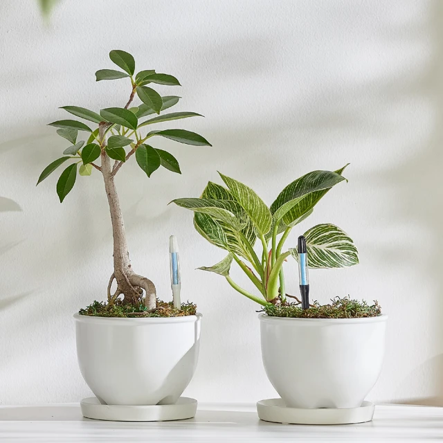 水流量監測箱多聲道精密監測設備一體化成型設計智能箱體式測流箱 歷史價格詳細信息