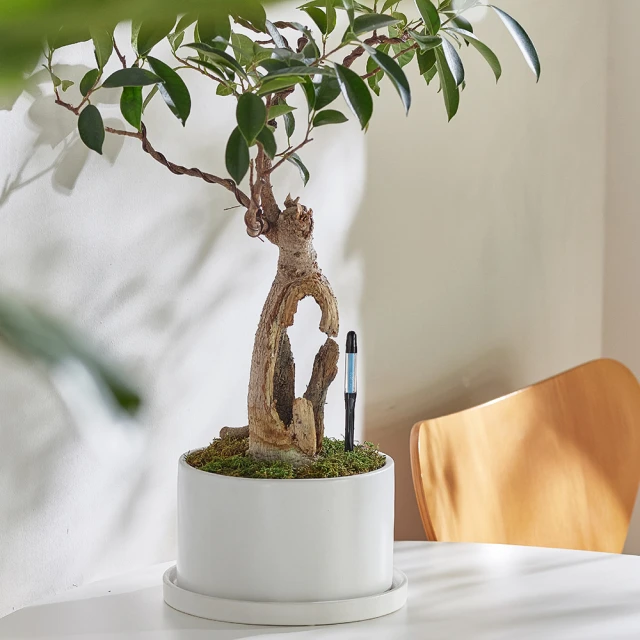 水流量監測箱多聲道精密監測設備一體化成型設計智能箱體式測流箱 歷史價格詳細信息