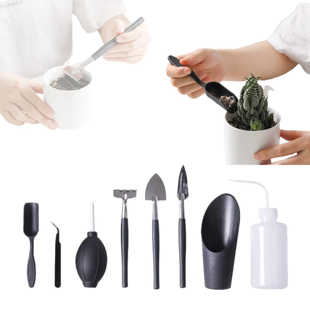 多肉植物栽種聖經完全圖鑑版630：集結60年研究經驗 栽培年曆獨家收錄!教你從外觀辨識、種植技巧、到組合 歷史價格詳細信息