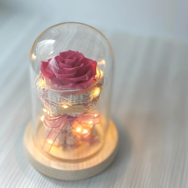 【OSTARA FLORIST 奧斯塔拉花藝】愛情樹永生花罩盅(永生花材、不凋玫瑰、永生配材) 歷史價格詳細信息