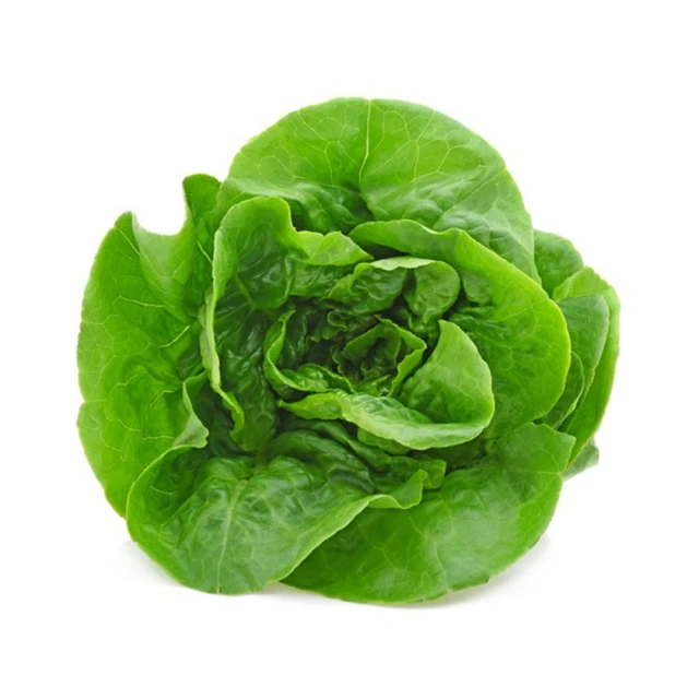 小美紀 蔬菜種子-羽衣甘藍 四季豆 甜碗豆 美濃白蘿蔔 迷你紅蘿蔔 歷史價格詳細信息