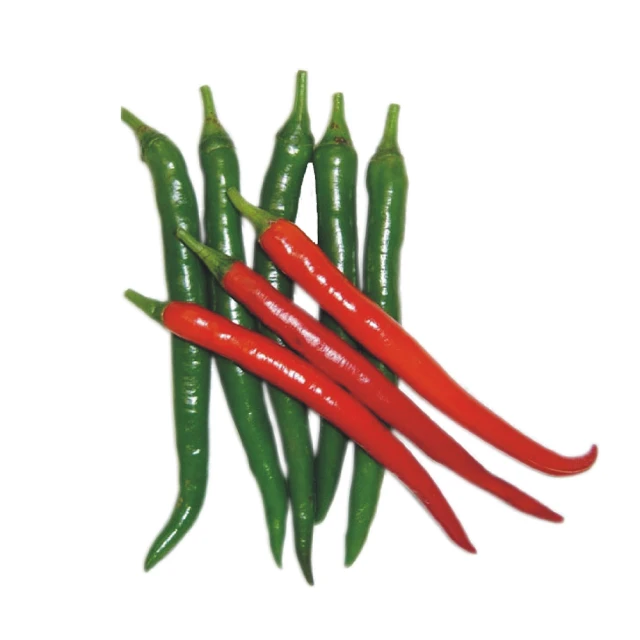 小美紀 蔬菜種子-羽衣甘藍 四季豆 甜碗豆 美濃白蘿蔔 迷你紅蘿蔔 歷史價格詳細信息