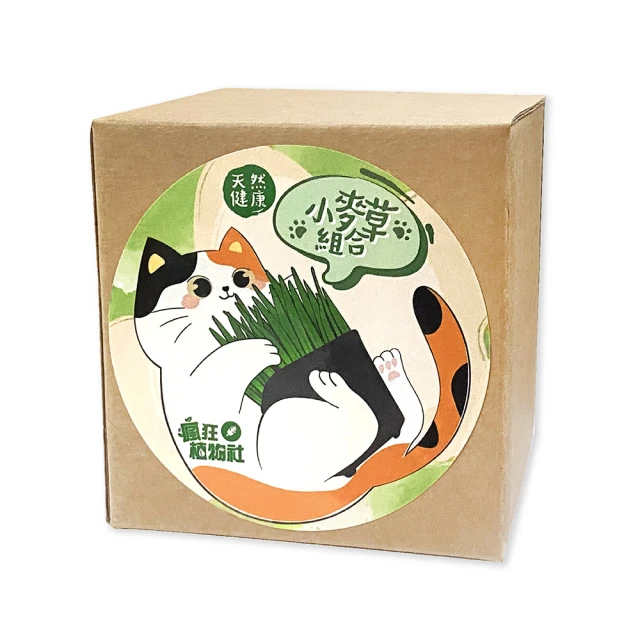 貓草組合3款入 貓草紓壓著色植栽組一組 種子澳洲製造 貓薄荷草30g一罐 貓草種子600g一包 福袋 歷史價格詳細信息