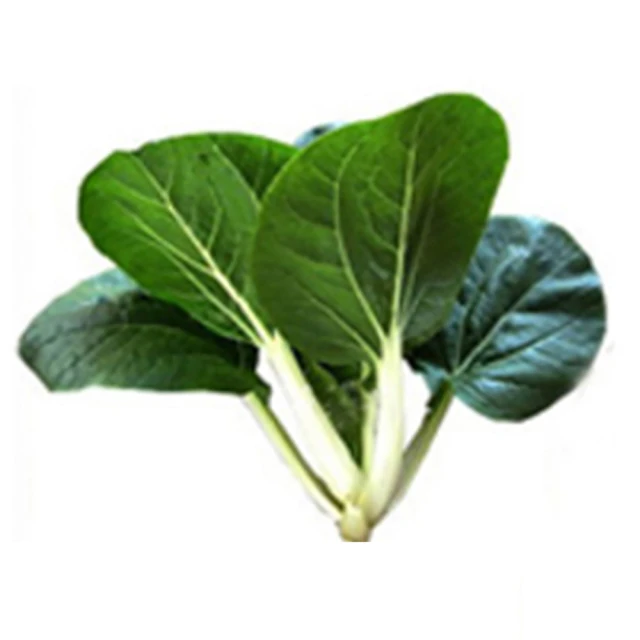【蔬菜工坊】A10.牛奶白菜種子 歷史價格詳細信息