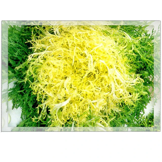 【蔬菜工坊】綠葉好密(綠馨1號) 500克 粉劑天然L游離胺基酸肥料(有機質 90.4)天然植物營養劑 歷史價格詳細信息