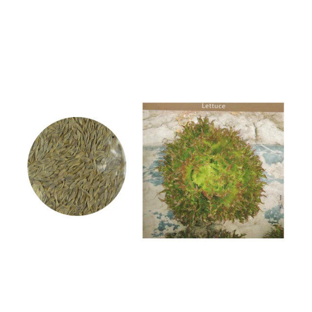 【蔬菜工坊】紅火山石-中粒5~8mm(1公斤分裝包) 歷史價格詳細信息