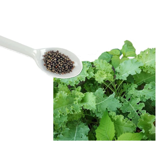 【蔬菜工坊】綠葉好密(綠馨1號) 500克 粉劑天然L游離胺基酸肥料(有機質 90.4)天然植物營養劑 歷史價格詳細信息