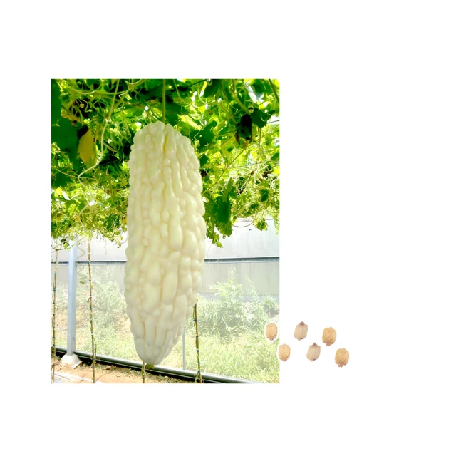 【蔬菜工坊】特撰表鋼小鎌刀(斷根)草取120mm(HT-0967)(日本進口) 歷史價格詳細信息