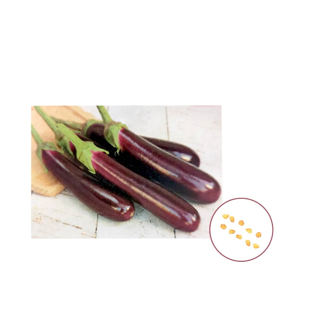 【蔬菜工坊】茄科專用嫁接剪(型號G2000) (附贈固定套管) 歷史價格詳細信息