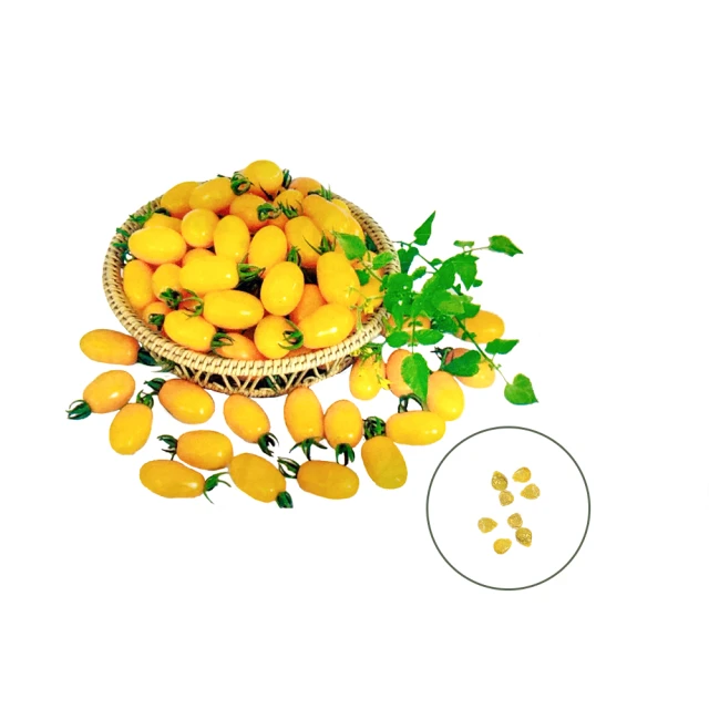 G28--康德八年 壹角 歷史價格詳細信息