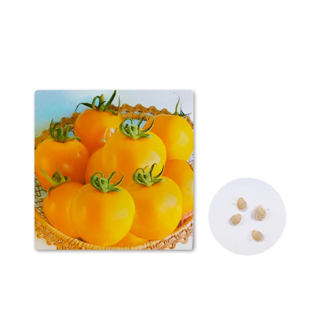 【蔬菜工坊】黃金麥飯石2公斤分裝包(小粒3~6mm.中粒6~8mm-2種規格可選) 歷史價格詳細信息